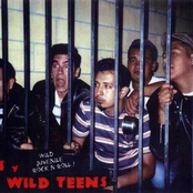 Lil' Luis Y Los Wild Teens