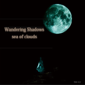 Wandering Shadows