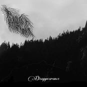 Disappearance