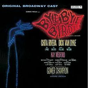 Bye Bye Birdie