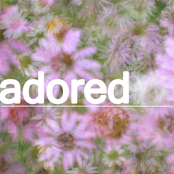 Adored