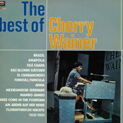 The Best Of Cherry Wainer