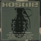 Hostile Hip-Hop