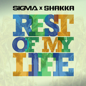 Rest of My Life - Single