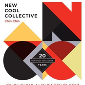 Little Fires by New Cool Collective