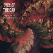 Tripping Through Neon Skies