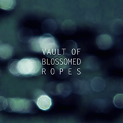 vault of blossomed ropes