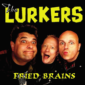 Punk Rock Brought Us Together by The Lurkers