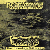 agathocles / motherpig