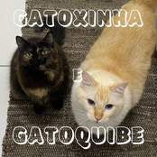 Gatoxinha e Gatoquibe