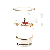 Half Truths and Petty Differences