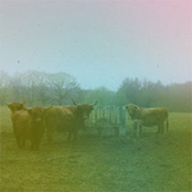 Book Of the sad lovers