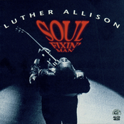 Nobody But You by Luther Allison