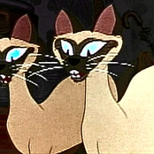 Shoulda Coulda Woulda