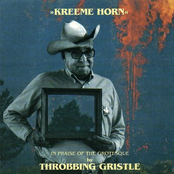 Raw Mode Of Life by Throbbing Gristle