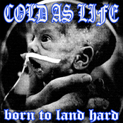 Cold As Life: Born to Land Hard