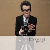 Living In Paradise by Elvis Costello & The Attractions