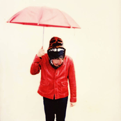 Bandits On The Run: Potted Plant