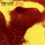 Fearless by Pink Floyd