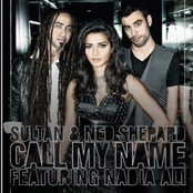 sultan & ned shepard feat. nadia ali