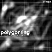 Collage by Polygon Ring