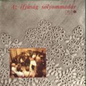 Az ifjúság sólyommadár