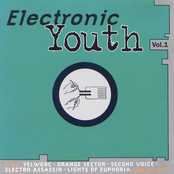 Electronic Youth Vol. 1