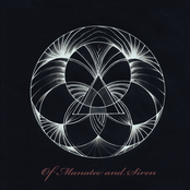 Of Manatee and siren