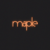 maple