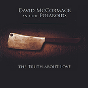 The Truth About Love by David Mccormack And The Polaroids