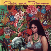 Acid and Flowers - 21 Late-1960s Psych Rarities