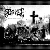 Masova Ocista Cloveka