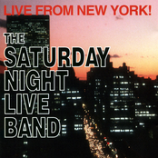 Gotta Keep My Eye On You by Saturday Night Live Band