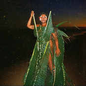 Todo Cuidado É Pouco