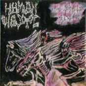 The Miracle Of Death