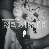 Rebirth