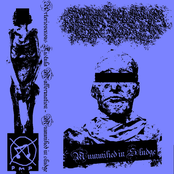 Mummified In Sludge