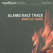 Alamo Race Track: Birds at Home