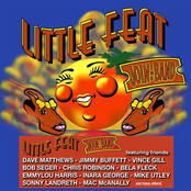 This Land Is Your Land by Little Feat