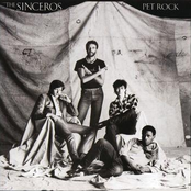 pet rock / 2nd debut