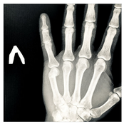 Longing for Time Gone By