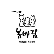 Spring Breeze - Single