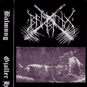 Wolves Of War (Split)