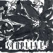 Stopline