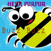Buzz Buzz