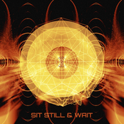 sit still & wait