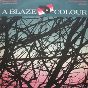 Altitude by A Blaze Colour