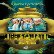 the life aquatic with steve zissou