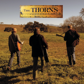 Long, Sweet Summer Night by The Thorns