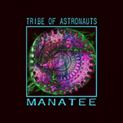 Manatee [Webbed Hand wh038]